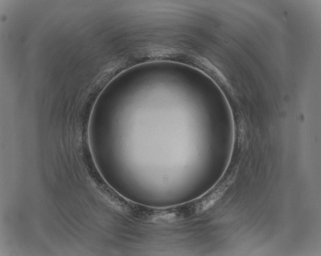 X0000076350257200610061533