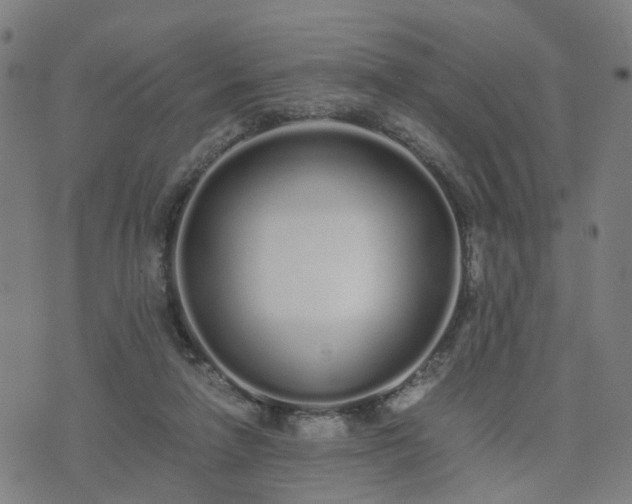 X0000076350258200610061533