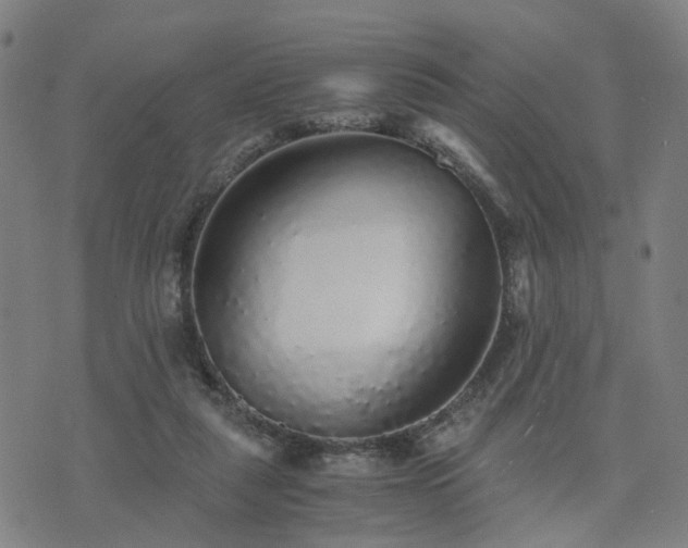 X0000076350259200610061533