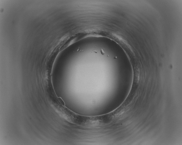 X0000076350260200610061533