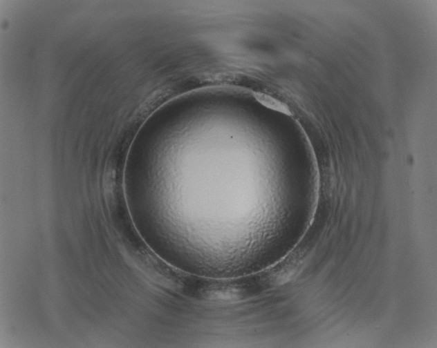 X0000076350263200610061533