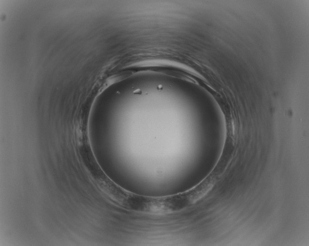 X0000076350264200610061533