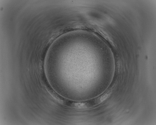 X0000076350265200610061533