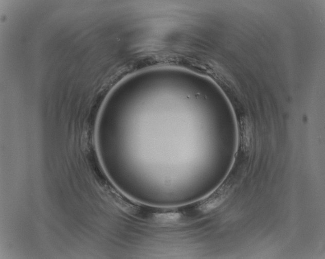 X0000076350266200610061533