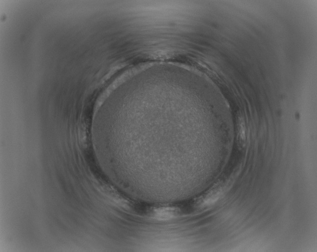 X0000076350268200610061533