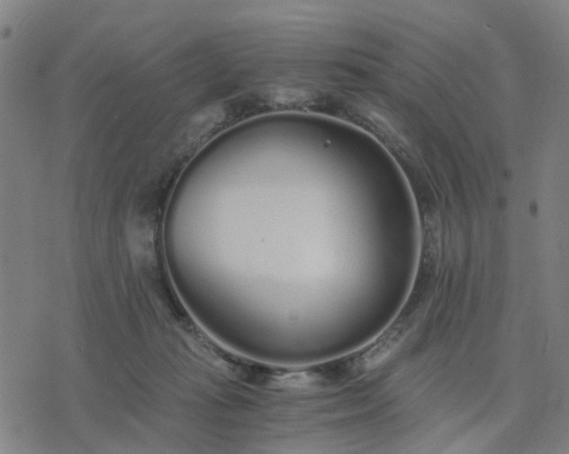 X0000076350269200610061533