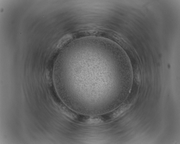 X0000076350270200610061533