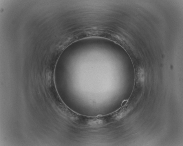 X0000076350271200610061533