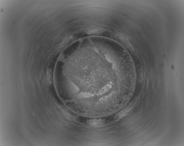 X0000076350273200610061533