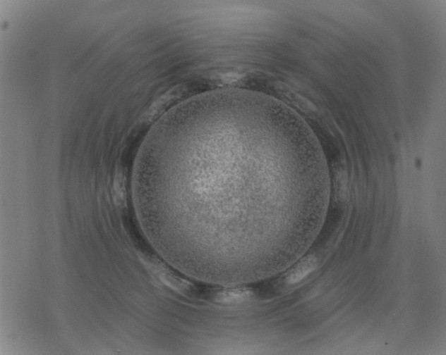 X0000076350274200610061533