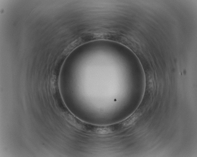 X0000076350275200610061533