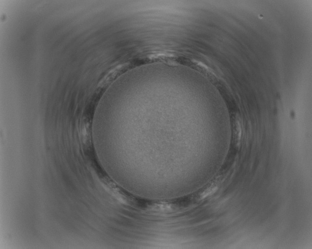 X0000076350276200610061533