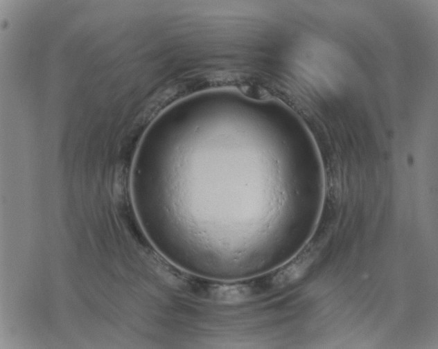 X0000076350277200610061533