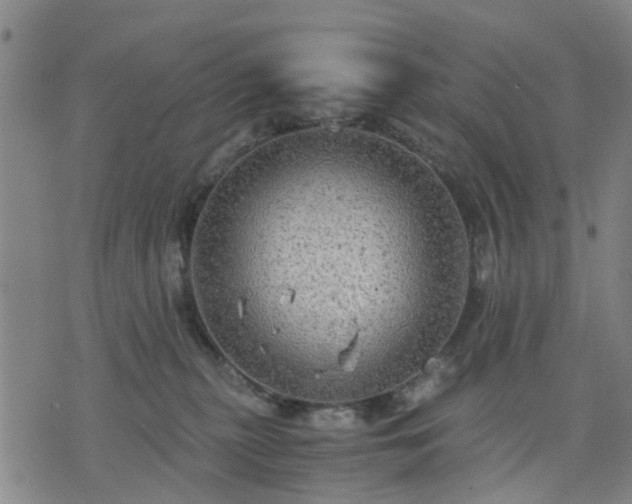 X0000076350279200610061533