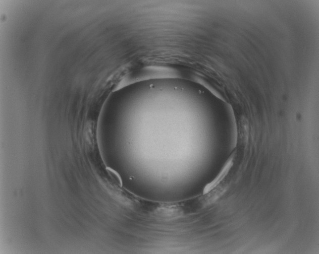 X0000076350280200610061533