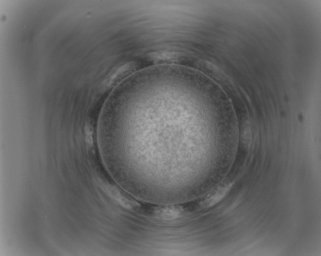 X0000076350282200610061533