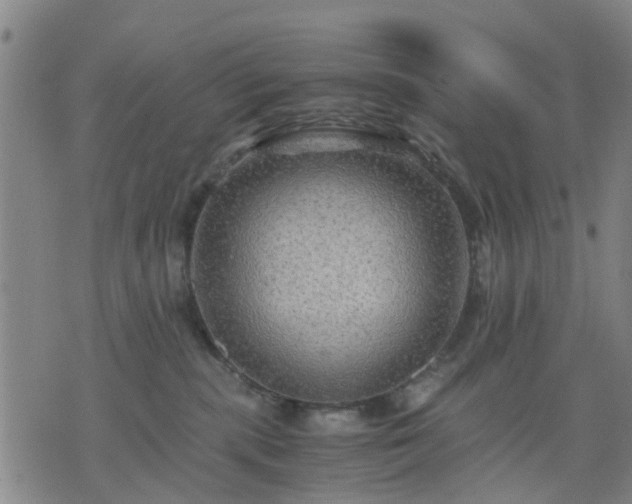 X0000076350283200610061533