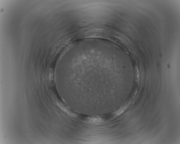 X0000076350284200610061533