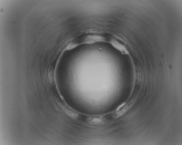 X0000076350285200610061534