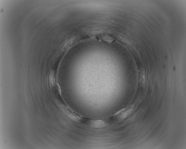 X0000076350287200610061534