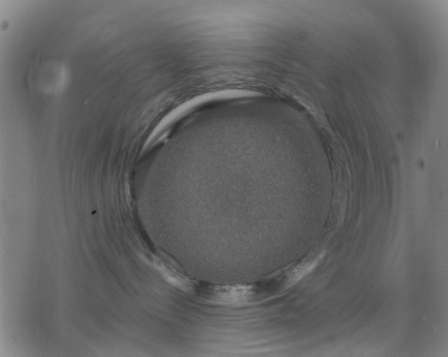 X0000076350288200610061534