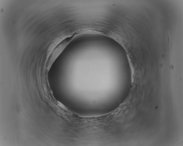 X0000076350289200610061533