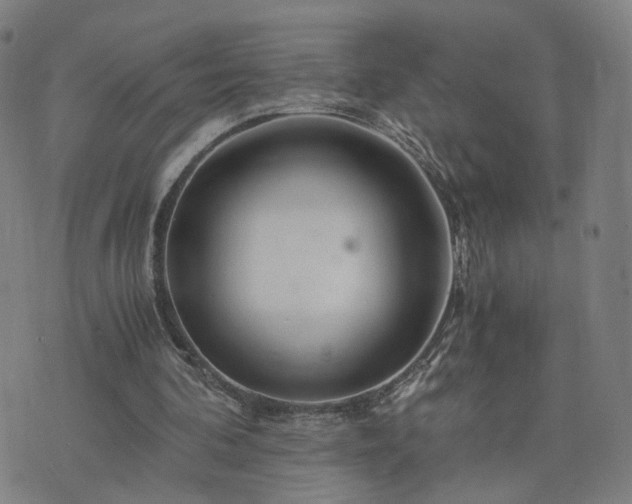 X0000076350292200610061533