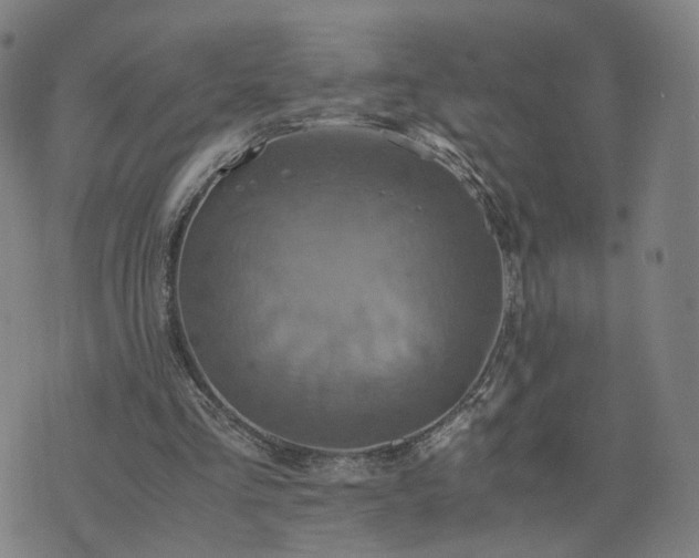 X0000076350293200610061533