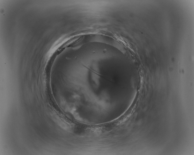 X0000076350295200610061533