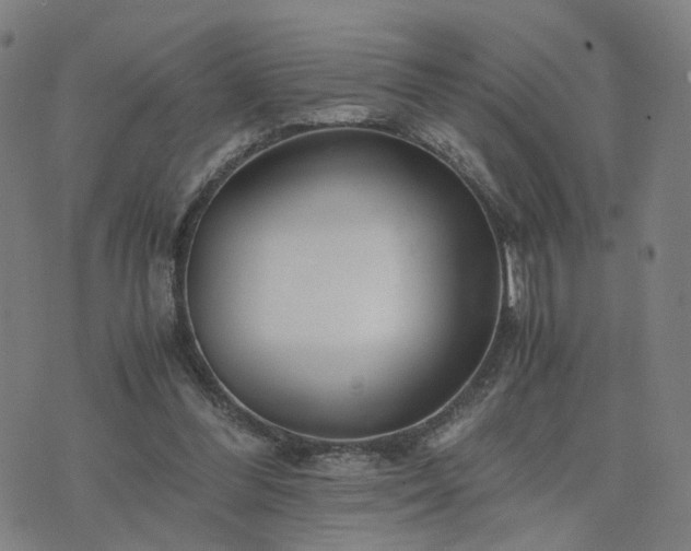 X0000076350300200610061533