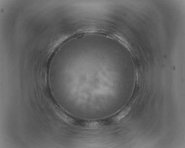 X0000076350301200610061533