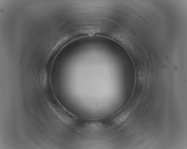 X0000076350304200610061533