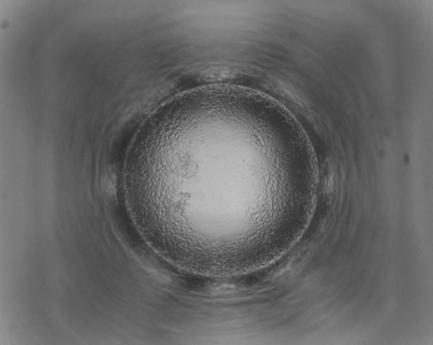X0000076350315200610061532
