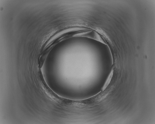 X0000076350393200610061531