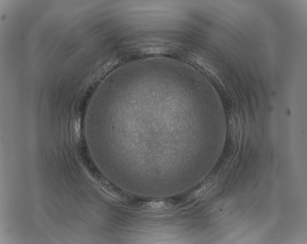 X0000076350406200610061531