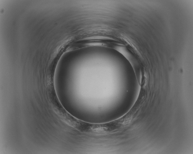 X0000076350407200610061531