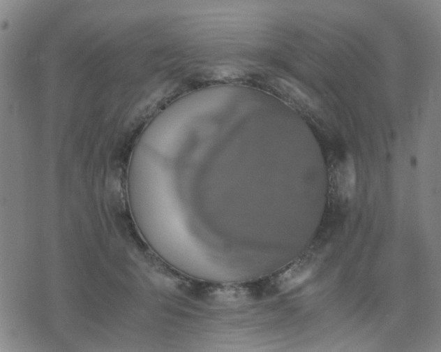 X0000076350415200610061531