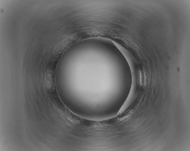 X0000076350416200610061531