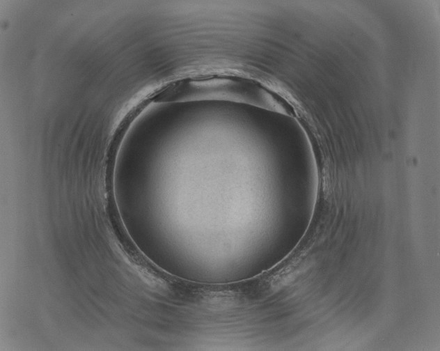 X0000076350438200610061530