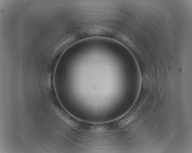 X0000076350454200610061530
