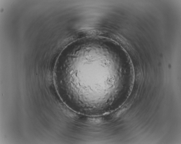 X0000076350469200610061530