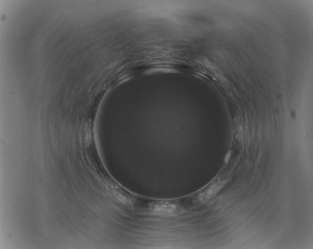 X0000076350471200610061530