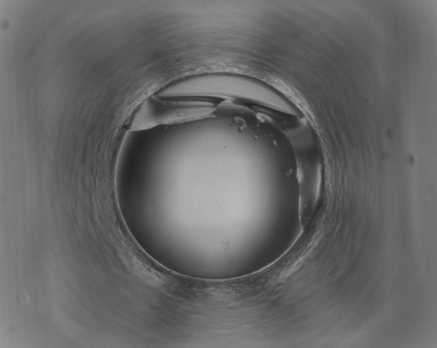 X0000076350481200610061530