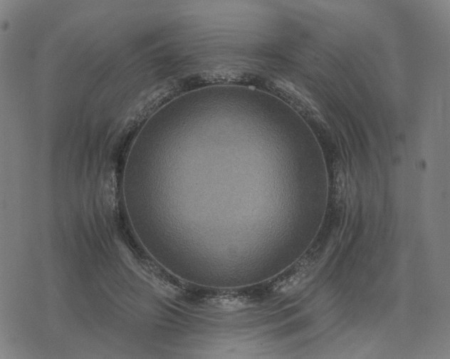 X0000076350498200610061529