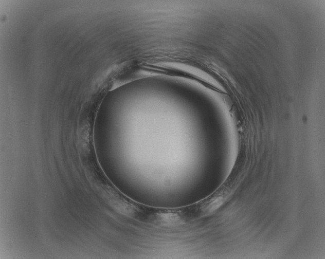 X0000076350509200610061529
