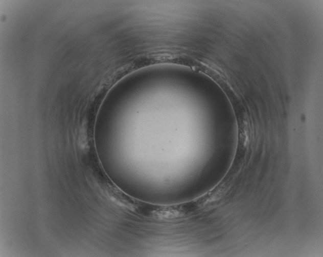 X0000076350512200610061529