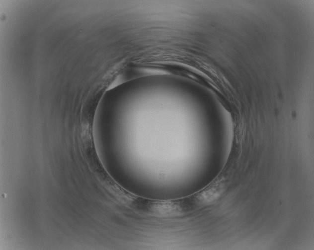 X0000076350521200610061529