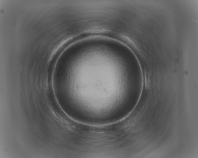 X0000076350531200610061528