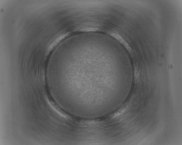 X0000076350533200610061528