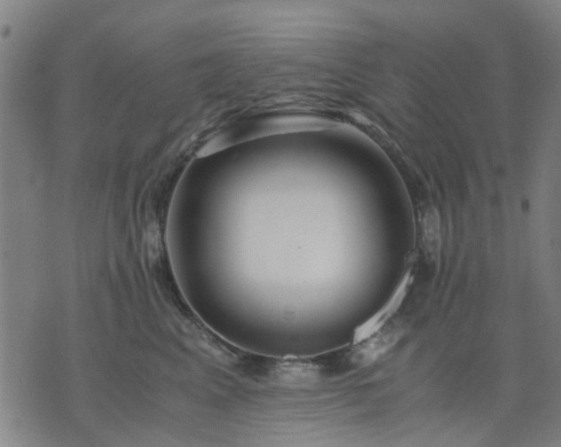 X0000076350617200610061527